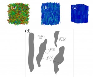 Figure 1: Image of a system of hard sphero-cylinders in the isotropic (a), nematic (b) and smectic (c) states; schematic of a generic two-phase medium with certain of the correlation and probability functions that characterise its structure (d).