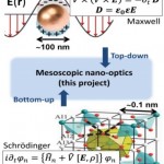 mesoplasm