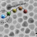 Photonics of Excitonic Nanomaterials: Understanding and Controlling the Flow of Energy