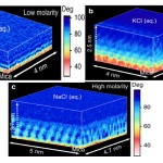Atomically Resolved Three-dimensional Structures of Electrolyte Aqueous Solutions Near a Solid Surface