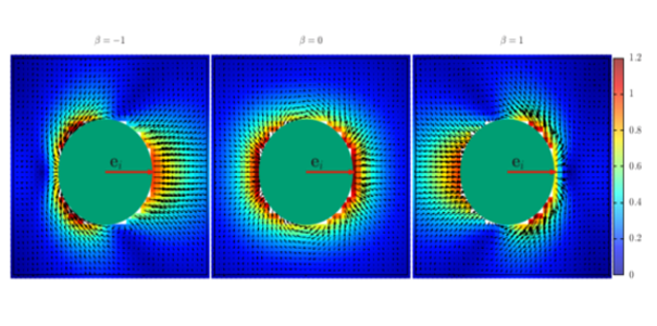Computational Study of the Collective Motion of Micro-swimmers
